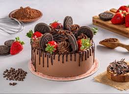 12 KİŞİLİK ÇİKOLATALI YAŞPASTA